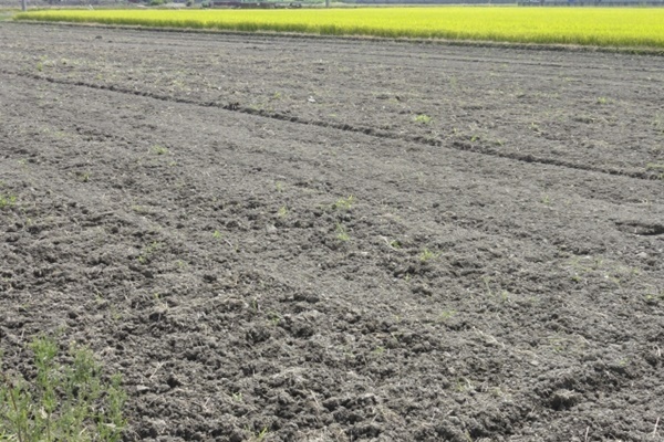 原発事故から8年…数値が物語る日本「放射能」汚染の実態