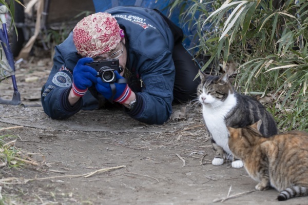 「見て見ぬふりできない」30年保護猫活動続ける男性