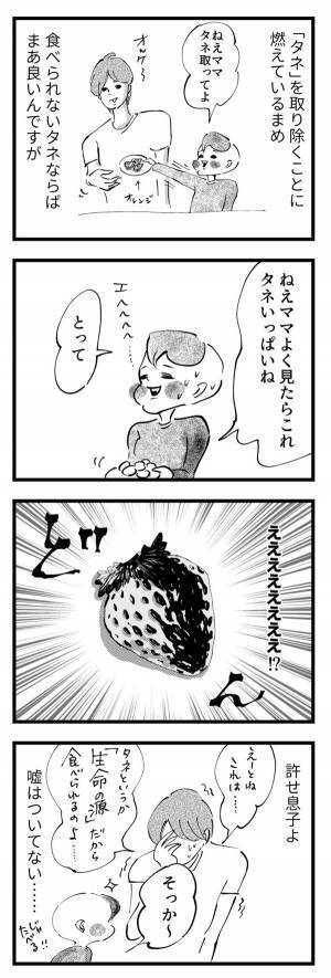 まめが「タネ取って」と指差したものとは…『まめ日和』第154回