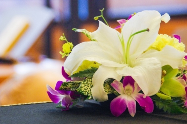 『ひとり終活』の著者が語る死後手続き代行サービスの注意点