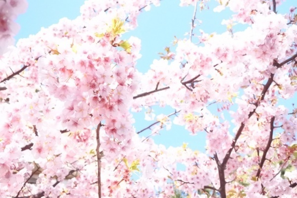 上野千鶴子の東大祝辞が「意義深い」と話題、トレンド入りも