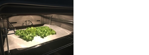 ケールチップス（辻仁成「ムスコ飯」第213飯レシピ）