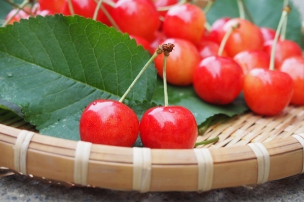 総務省規制強化でなくなるかも！“お得過ぎた”人気返礼品11