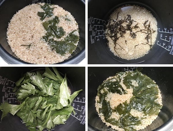 蛸ご飯（辻仁成「ムスコ飯」第219飯レシピ）