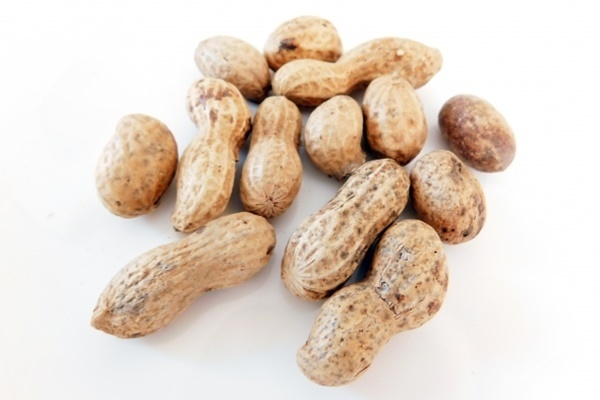 慶大教授語る「ピーナッツ」効果、生活習慣病リスク低下も