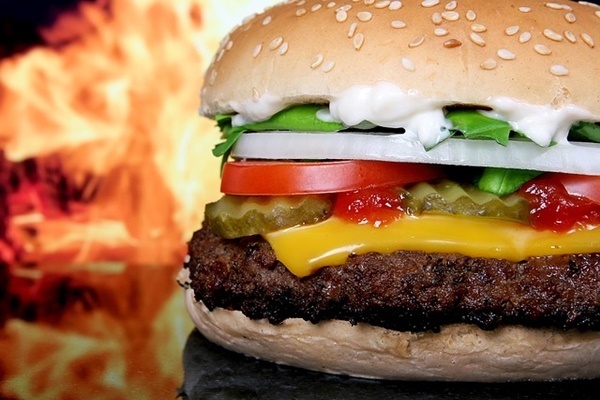 米バーガーチェーン 介助犬連れた少年の入店を拒否し炎上