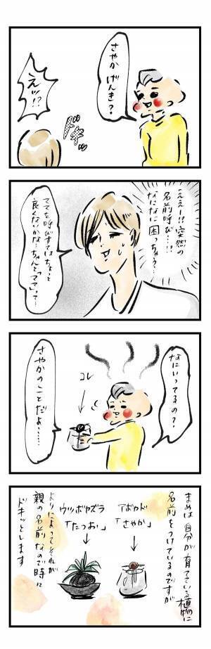 まめ、植物をママの名前で呼ぶ『まめ日和』第168回