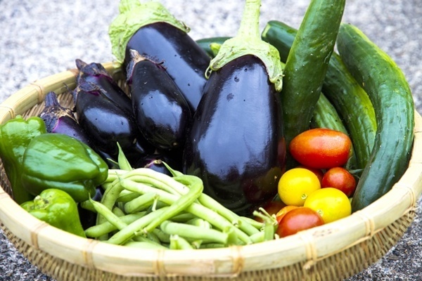 きゅうり、なすは2倍……野菜価格高騰は8月に入っても続く