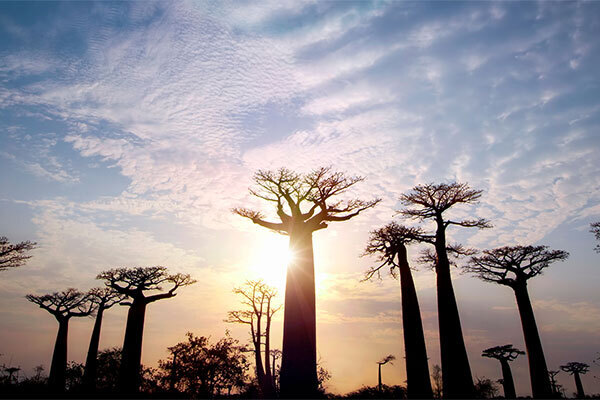 ケンブリッジ大の女子学生、小型飛行機から飛び降り死亡
