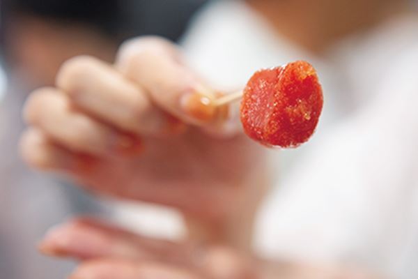 ゴロっと大玉メロン狩り！静岡バスツアーが充実しすぎ