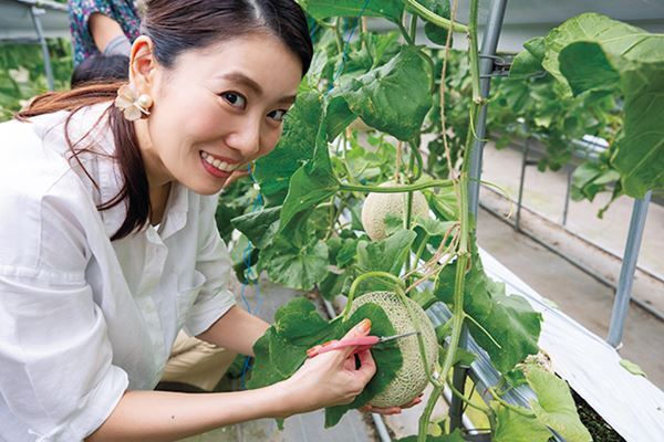 ゴロっと大玉メロン狩り！静岡バスツアーが充実しすぎ