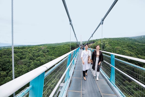 ゴロっと大玉メロン狩り！静岡バスツアーが充実しすぎ