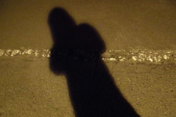 中島裕翔悩む過激ファンの恐怖 注意すると歓喜、あおり運転も