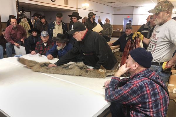 カリフォルニア州が毛皮目的の動物捕獲を禁止　米国で初