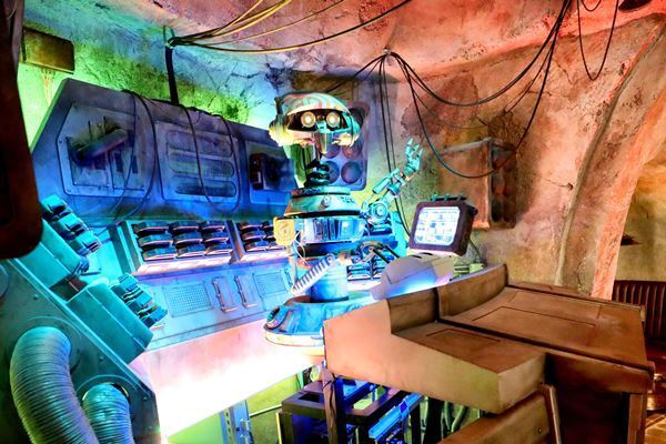 市民に暴行…米女性、全てのディズニー施設へ生涯出入禁止に