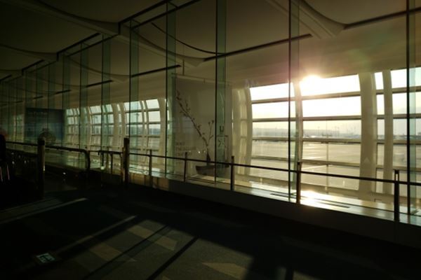 日韓関係難航も…20代女性中心に「それでも韓国旅行」の理由