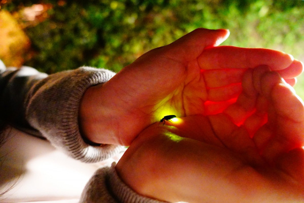 “余命は足し算”ガンになった緩和ケア医が辿り着いた境地