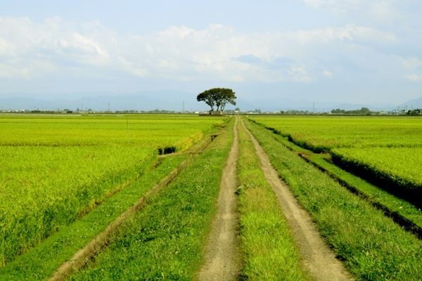 吉幾三 ラップ曲CD化に称賛の声「帰ってきた津軽のエミネム」