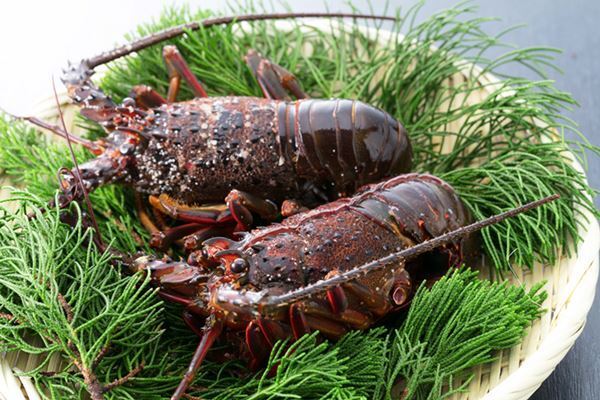 実質2千円でおせちが華やかに！令和最初のふるさと納税返礼品