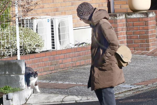 八千草薫さん急いだ遺言書…愛犬と愛猫の行く末心配していた