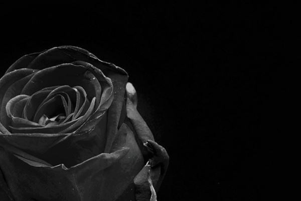 松潤と大野が二宮結婚に無言貫く理由 ケジメ尊重も胸中複雑か