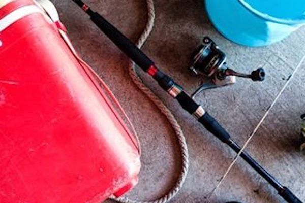 釣り上げた魚の中から紙幣？専門家は「可能性低い」と話す