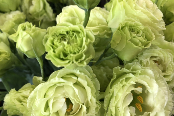 相葉雅紀「今はもう、メンバーには感謝の気持ちしかない」