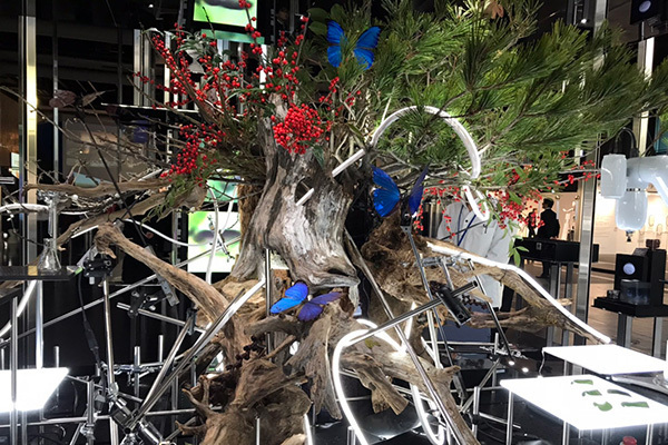 驚きの体験！　落合陽一氏が総合監修「科学と自然の融合」