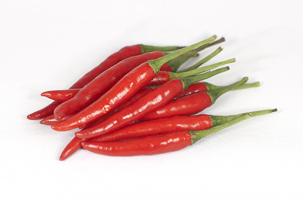 冷え症対策に「やっぱり唐辛子」は誤り 専門医が注意喚起