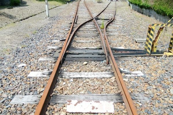 中居正広 ジャニーズ退所で広がる動揺…SMAP解散から3年の決断