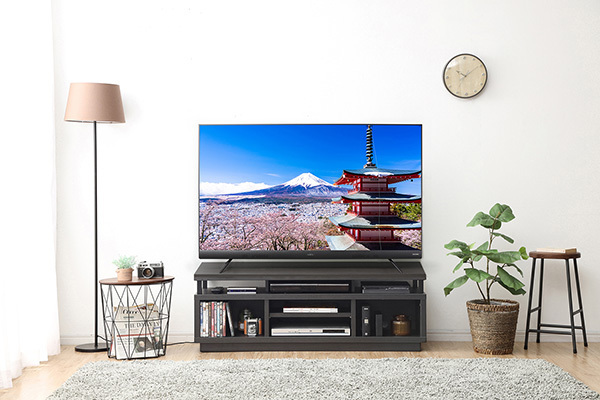 10年で売り上げ10倍！「アイリスオーヤマ」家電人気の秘密