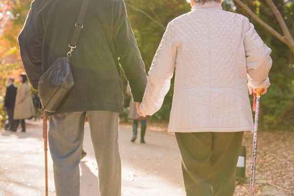 付加年金以外にも！「老後のお金」を増やすための知識