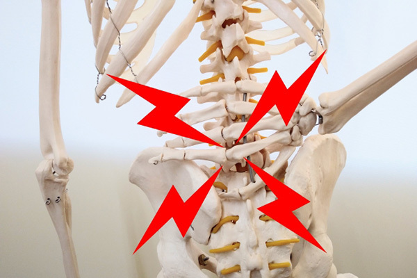 骨の健康を守る3本柱は「食生活・骨検診・適度な運動」