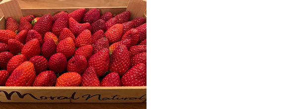 いちごの簡単デザート（辻仁成「ムスコ飯」第257飯レシピ）