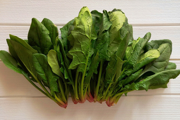 1つの葉物野菜が「非常時つくりおき」に“家事プロ”伝授