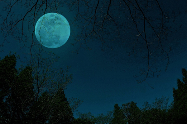 心理学科教授「新型コロナで怖い夢を見る人が増えている理由」