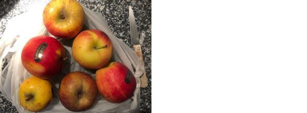 ロティードポー（ローストポーク）と、りんごのコンポート（辻仁成「ムスコ飯」第265飯レシピ）