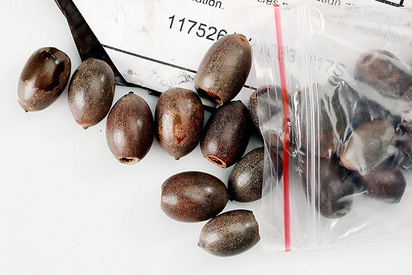 「狂ったように成長した」中国からのタネ、米国が撤去へ