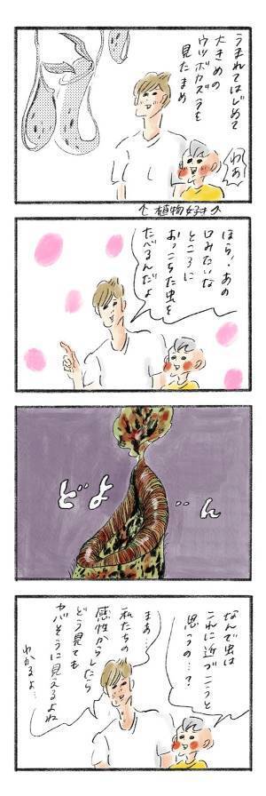 ウツボカズラを見たまめのもっともな感想『まめ日和』第227回