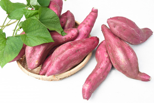 さつまいもは冷蔵庫より常温で…“栄養ロス”を防ぐ分岐点