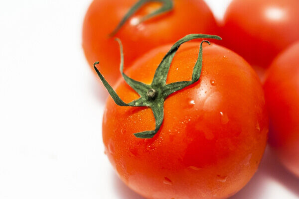 トマトの保存は上向きか下向きか？栄養にまつわる2択クイズ