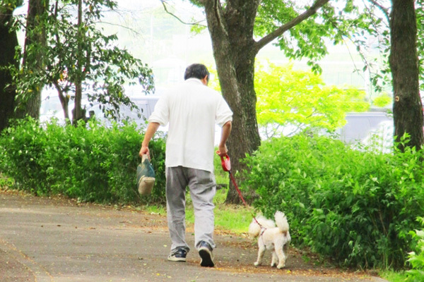 「犬を飼う」「仕事を続ける」医師が実践する認知症の予防習慣