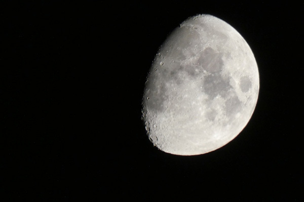 ダイエットは月が欠けていく時期に！薬草デトックスレシピ5