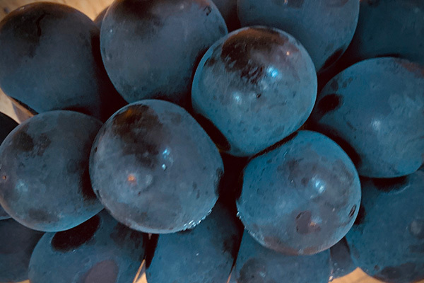 Snow Man渡辺翔太「学園ドラマのキスシーンにキュンとする」