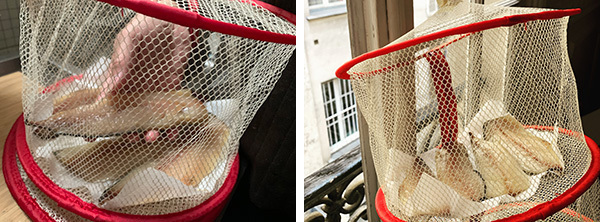 サバの一夜干し（辻仁成「ムスコ飯」第278飯レシピ）