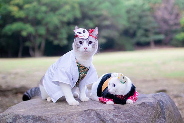 『鬼滅の刃』ちびっ子＆わんにゃんのコスプレコレクション