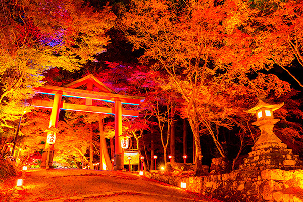 神社研究家が厳選！運気アップする「パワスポ神社」の紅葉11