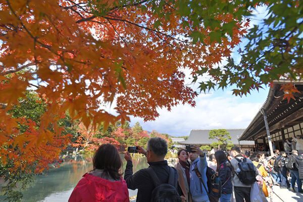 秋の楽しみの紅葉も……（撮影：共同通信）