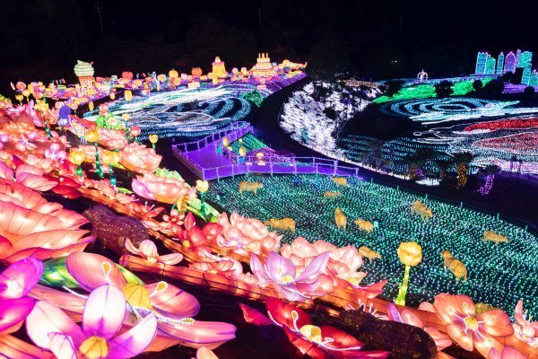 3密回避の新様式で楽しむ「絶景イルミネーション厳選9」