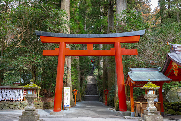 3密を避けて参拝を…「初詣での基本のお作法」をおさらい